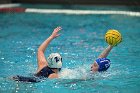 WWPolo vs CC  Wheaton College Women’s Water Polo compete in their sports inaugural match vs Connecticut College. - Photo By: KEITH NORDSTROM : Wheaton, water polo, inaugural